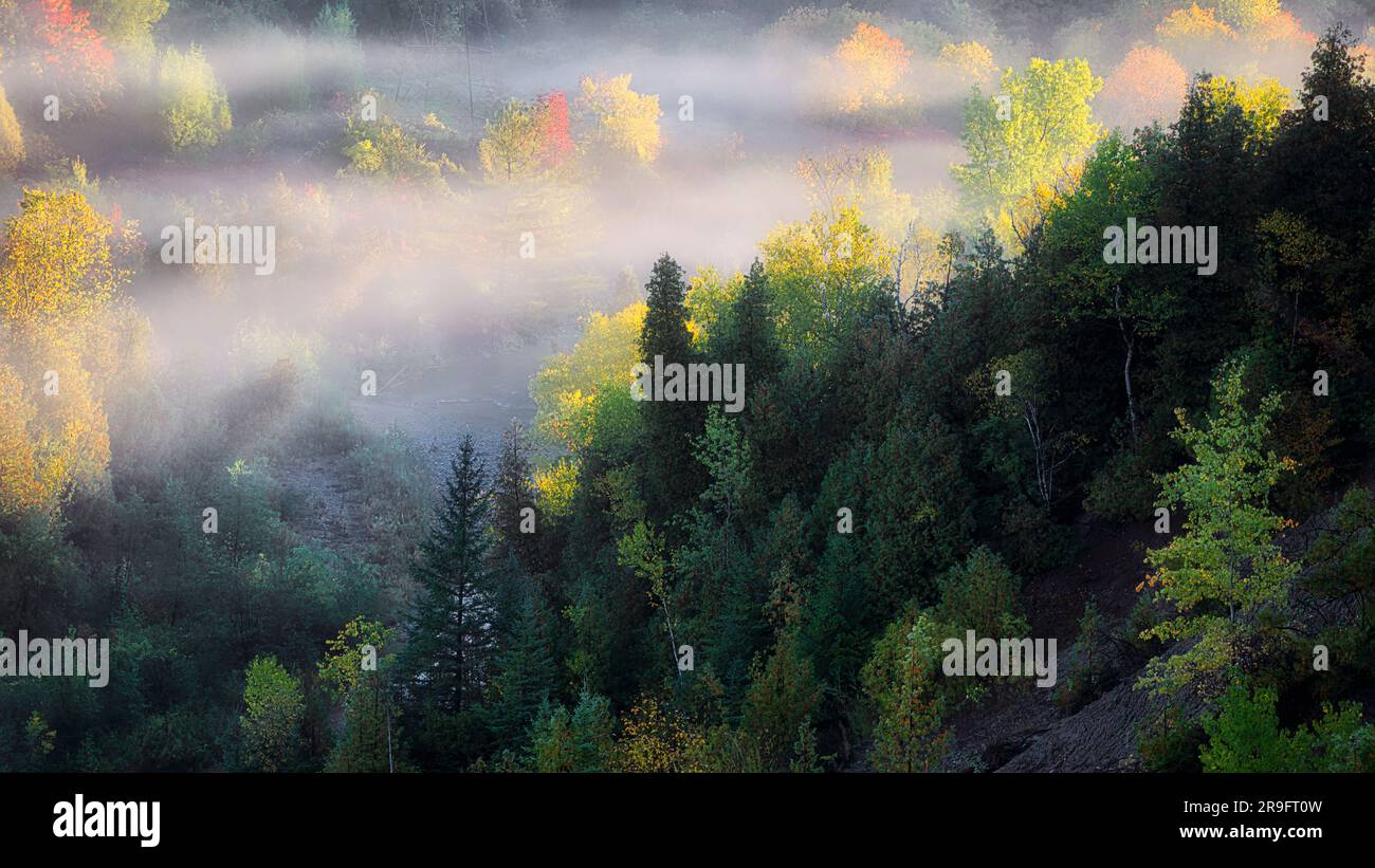 Paesaggio autunnale della Rogue River Valley al mattino presto con nebbia e nebbia Foto Stock