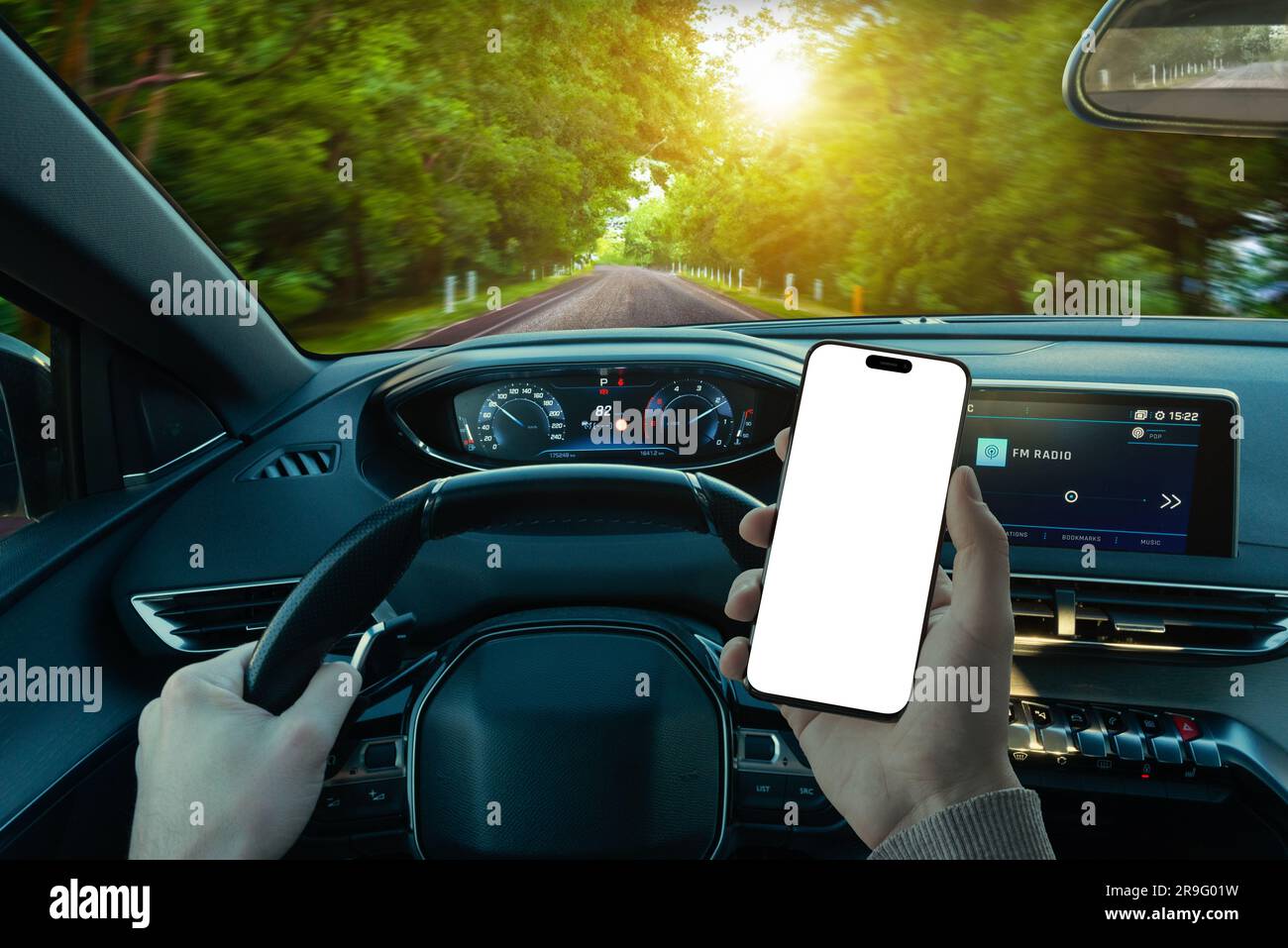 Mockup del telefono nella mano del conducente. Vista persona diretta. Guidare un'auto attraverso una perfetta strada forestale Foto Stock