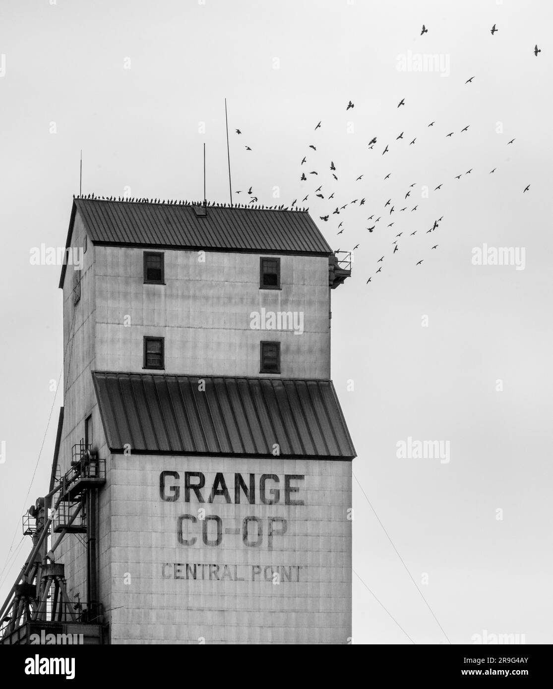 Punto centrale O Grange Foto Stock