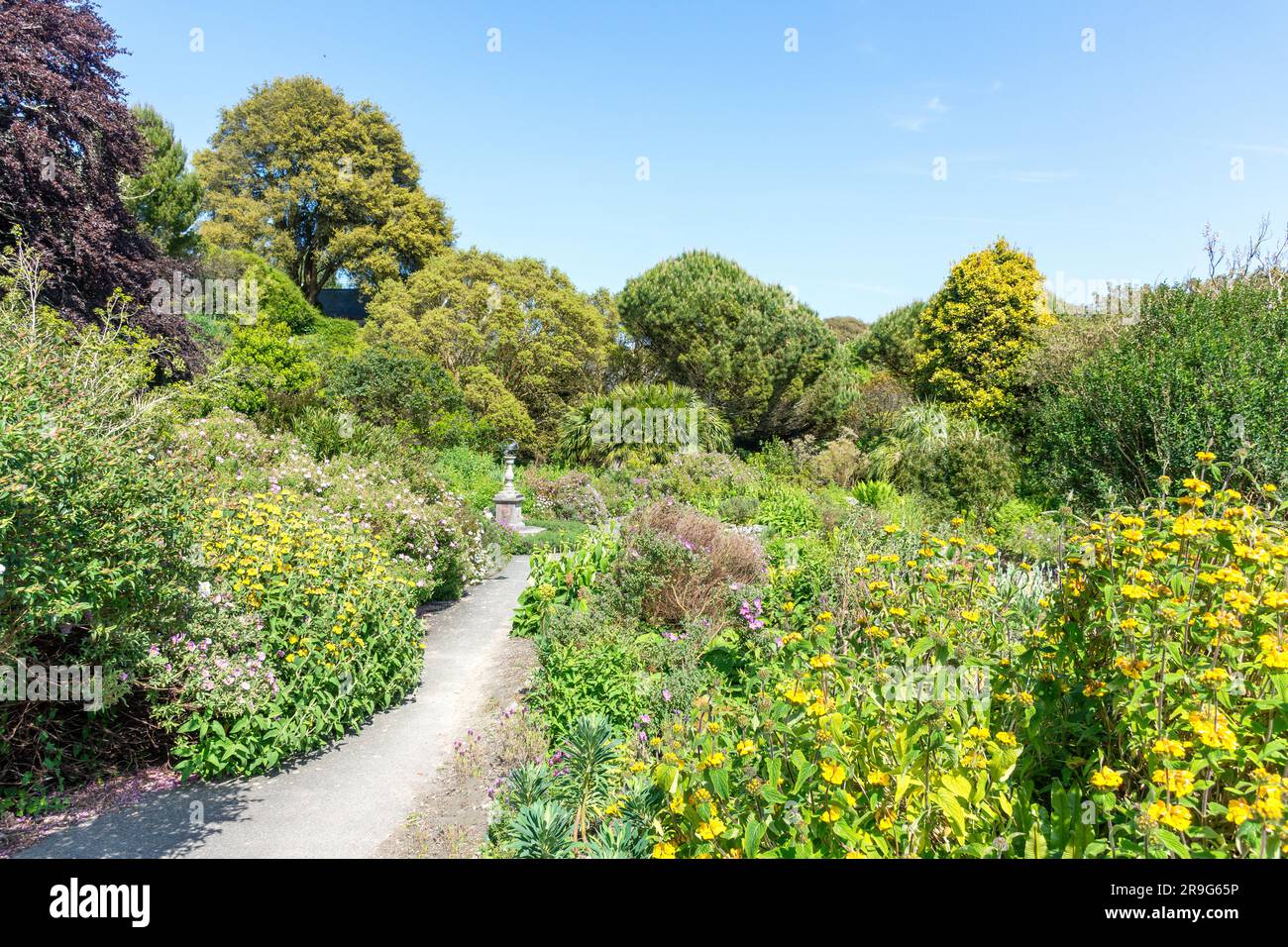Ventnor Botanic Garden, Undercliff Drive, Vetnor, Isle of Wight, Inghilterra, Regno Unito Foto Stock