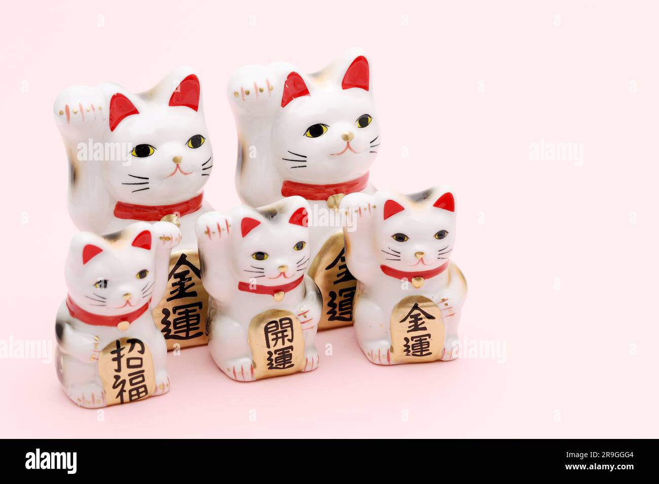 Gatto fortunato giapponese su sfondo rosa, parola giapponese di questa fotografia significa "fortuna migliore, benedizione, fortuna economica" Foto Stock