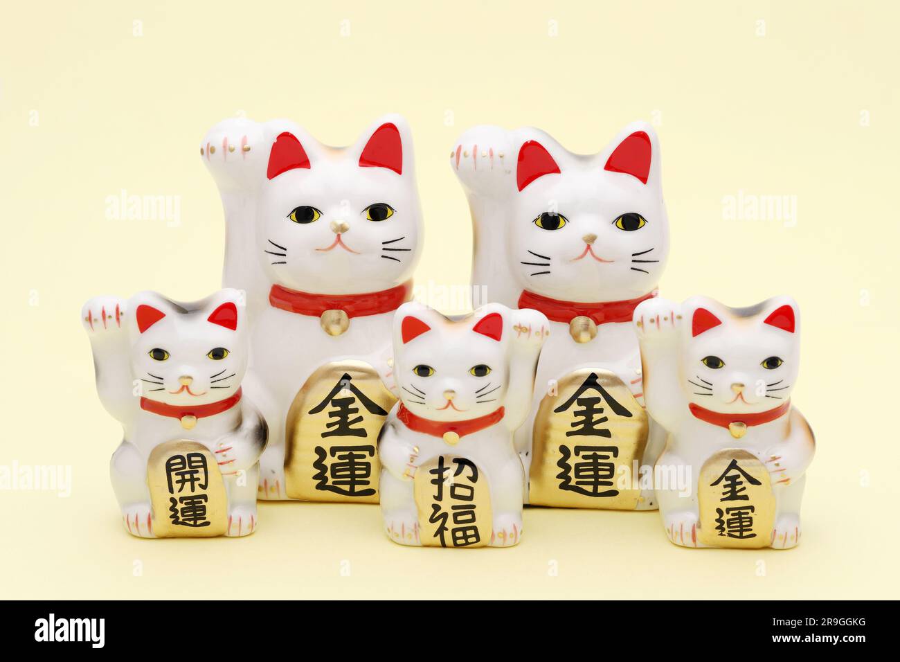 Gatto fortunato giapponese su sfondo giallo, parola giapponese di questa fotografia significa "fortuna migliore, benedizione, fortuna economica" Foto Stock