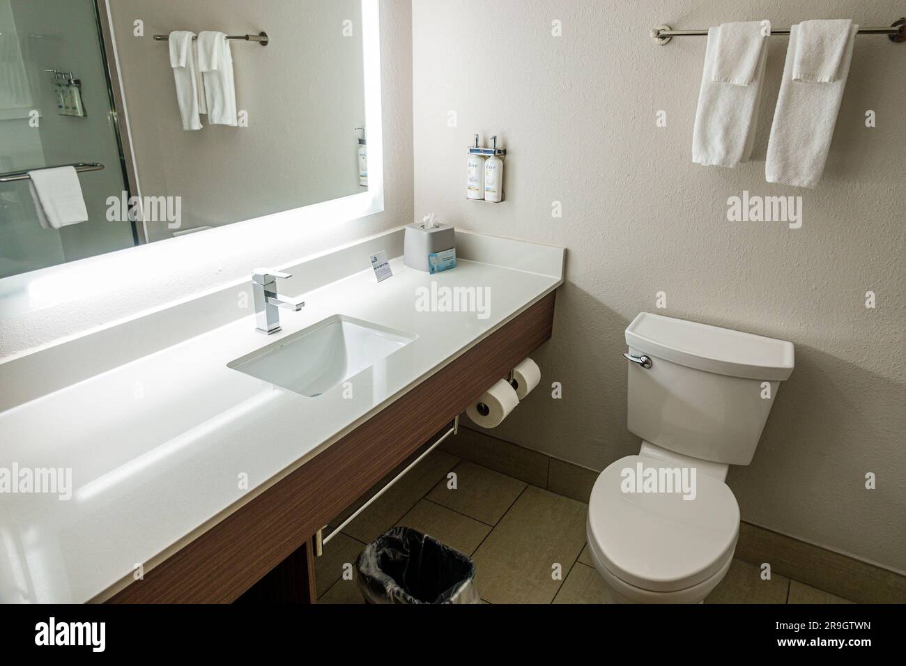 Fleming Island Jacksonville Florida, Holiday Inn Express & Suites Fleming Island, IHG Hotel, stanza da bagno Foto Stock