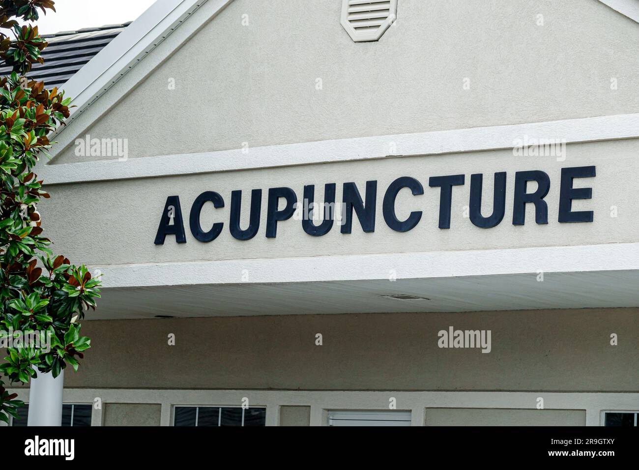 Fleming Island, Jacksonville, Florida, segnale generico di agopuntura, esterno, edifici, ingresso frontale Foto Stock