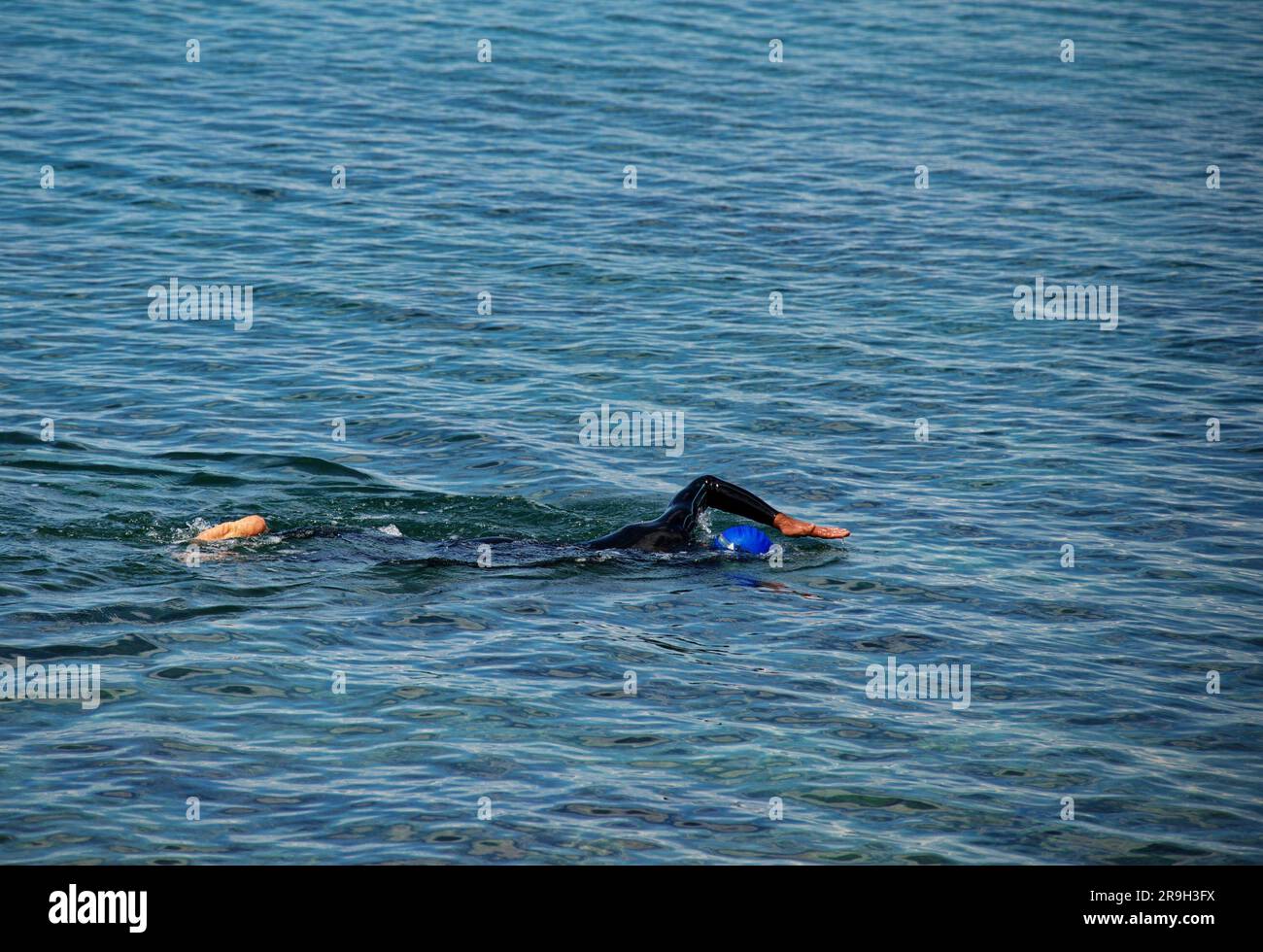 Nuotatore di maratona maschile in azione durante l'allenamento Foto Stock