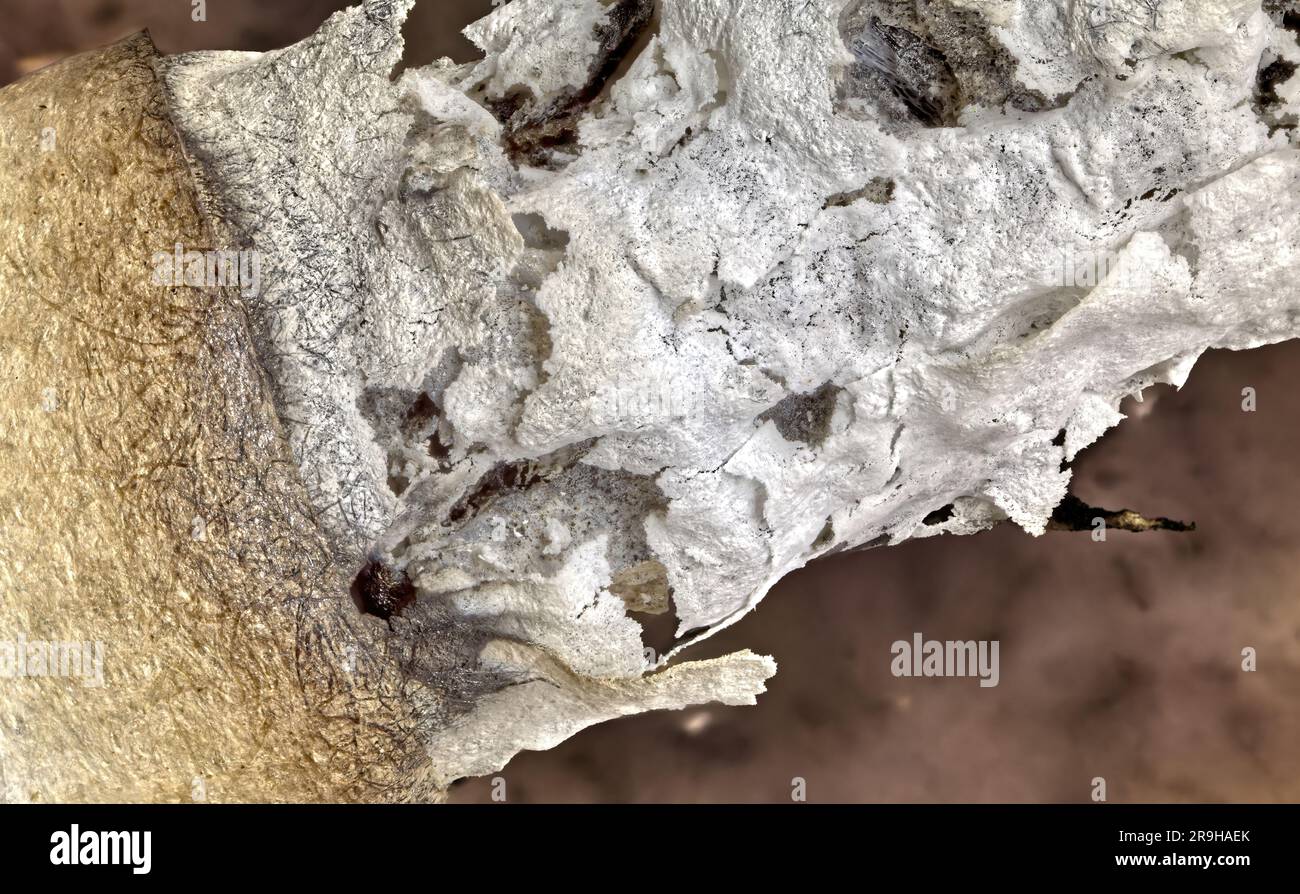 Colpo macro di sigaretta in fiamme. Sovrapposizione della messa a fuoco macro Foto Stock