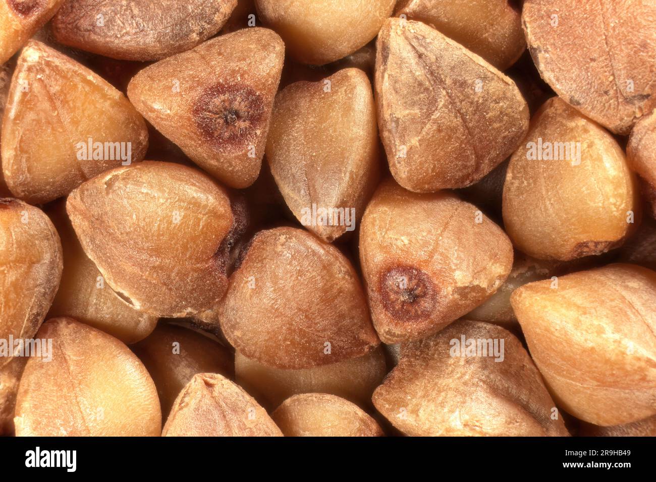 Primo piano dei chicchi di grano saraceno. Sfondo di grano saraceno secco, vista dall'alto. Sovrapposizione della messa a fuoco macro Foto Stock