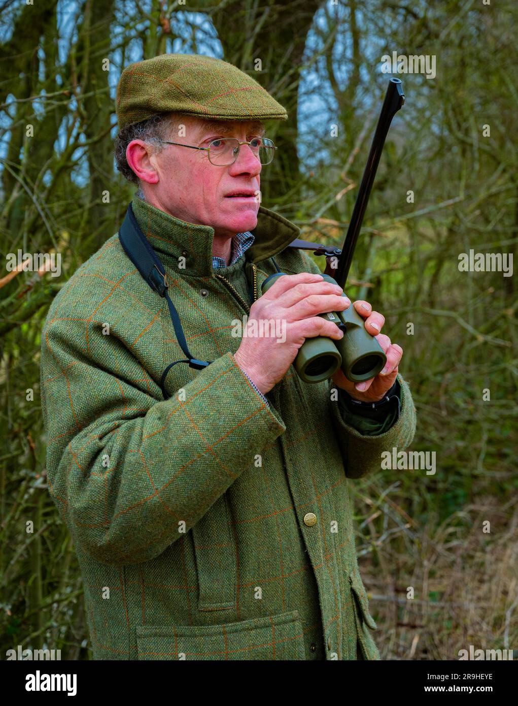 Lincolnshire, Inghilterra, Regno Unito – Un deerstalker nel bosco che controlla e abbatte la popolazione di cervi con un fucile in un pomeriggio invernale Foto Stock