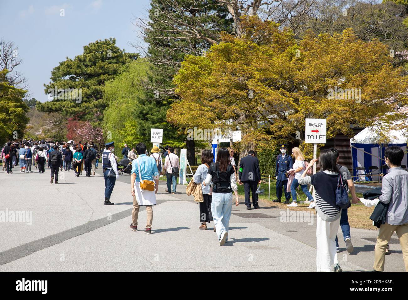 Imperial Palace Tokyo Inui dori Street aperto ai visitatori per vedere i ciliegi in fiore nel 2023, la prima volta aperta dal 2019 a causa della covid, Giappone, Asia Foto Stock