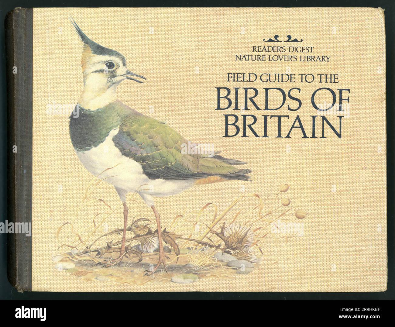 Copertina originale del libro del 1980 per il Reader's Digest Field Guide to the Birds of Britain, 1st Edition, copertina illustrata da Peter Barrett pubblicata nel 1981 Foto Stock