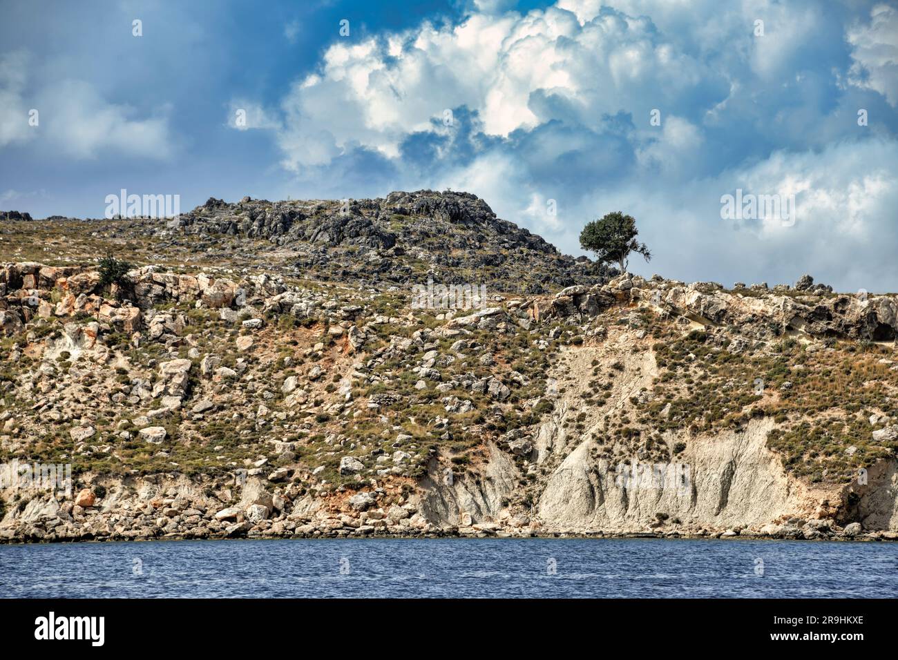 Die karge Ostküste von Rhodos mit einer Kiefer Foto Stock