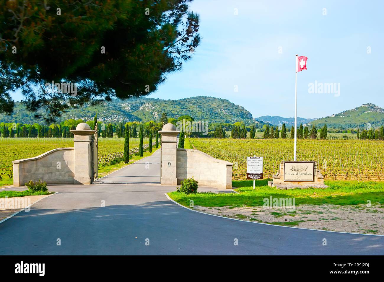 Il paesaggio paesaggistico della regione montana delle Alpilles con vista sui vigneti verdi del Chateau d'Estoublon, situato nella Valle di Baux-de-Provence, in Francia Foto Stock