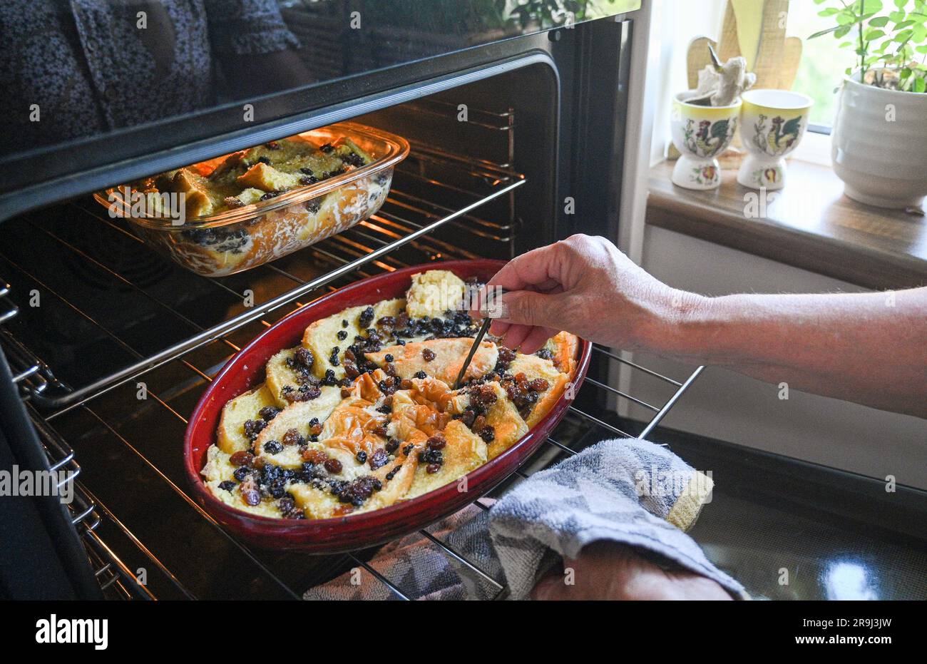 Il budino di pane e burro fatto in casa viene cucinato in un forno a ventola elettrica in cucina Foto Stock