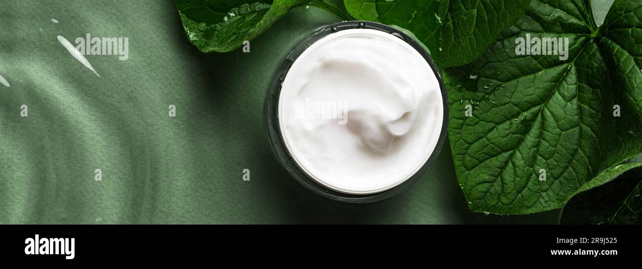 Barattolo di crema cosmetica e foglie di piante verdi su sfondo verde scuro, striscione, spazio per copia. Crema idratante a base vegetale biologica. Hydrat Foto Stock