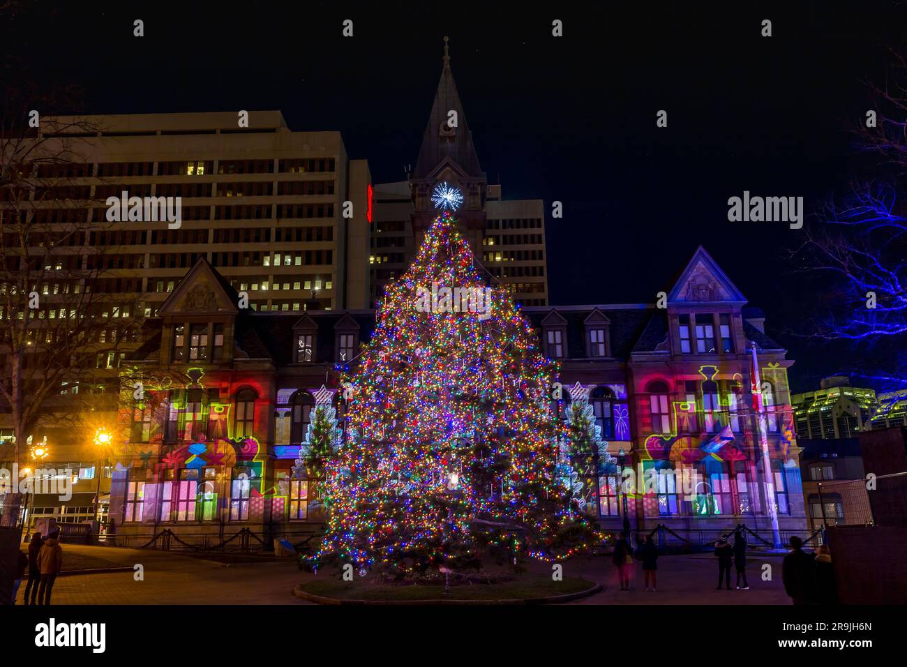Halifax, nuova Scozia Canada, decorazioni natalizie del municipio, illuminazione e spettacolare esposizione di luci. Evergreen Light Festival Foto Stock