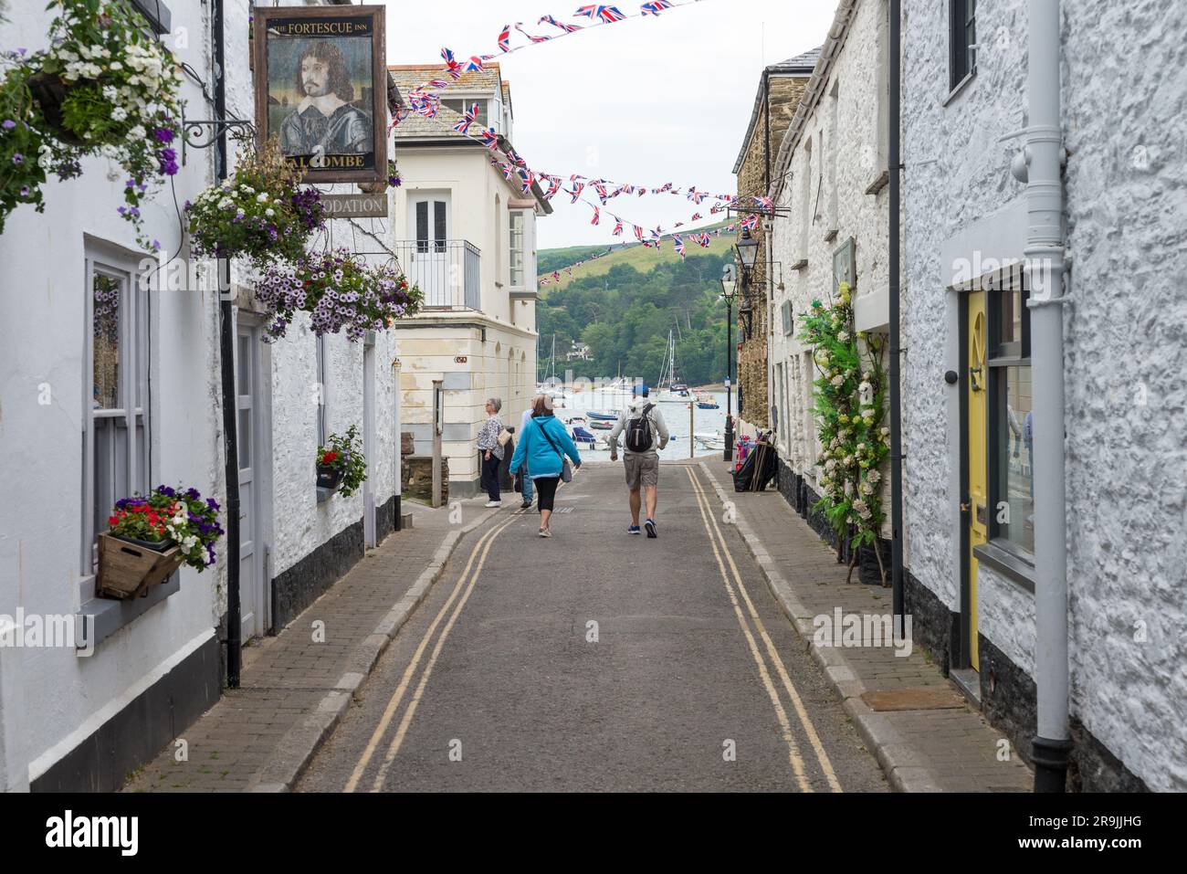 Ammira Union Street verso l'estuario nella città costiera di South Hams di Salcombe, Devon Foto Stock