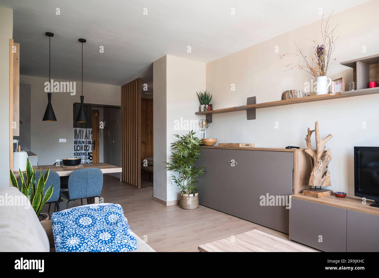 Design interno di un soggiorno minimalista arredato con un accogliente divano, tavolino da caffè, piante e armadi con varie decorazioni e televisore Foto Stock