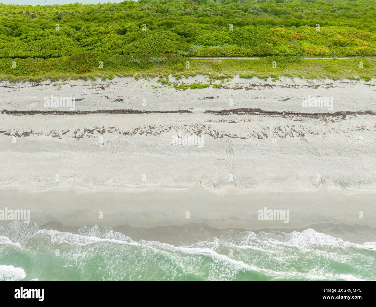 Foto aerea tracce di tartarughe Loggerhead sulla sabbia di Jupiter Island, Florida, stagione di nidificazione estate 2023 Foto Stock