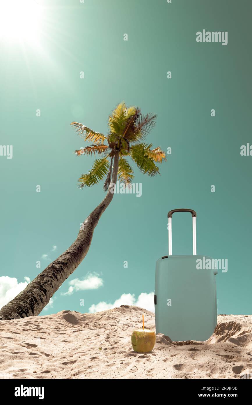 Valigia presso la palma sulla spiaggia dell'isola tropicale. Vacanze estive e viaggi. Foto Stock