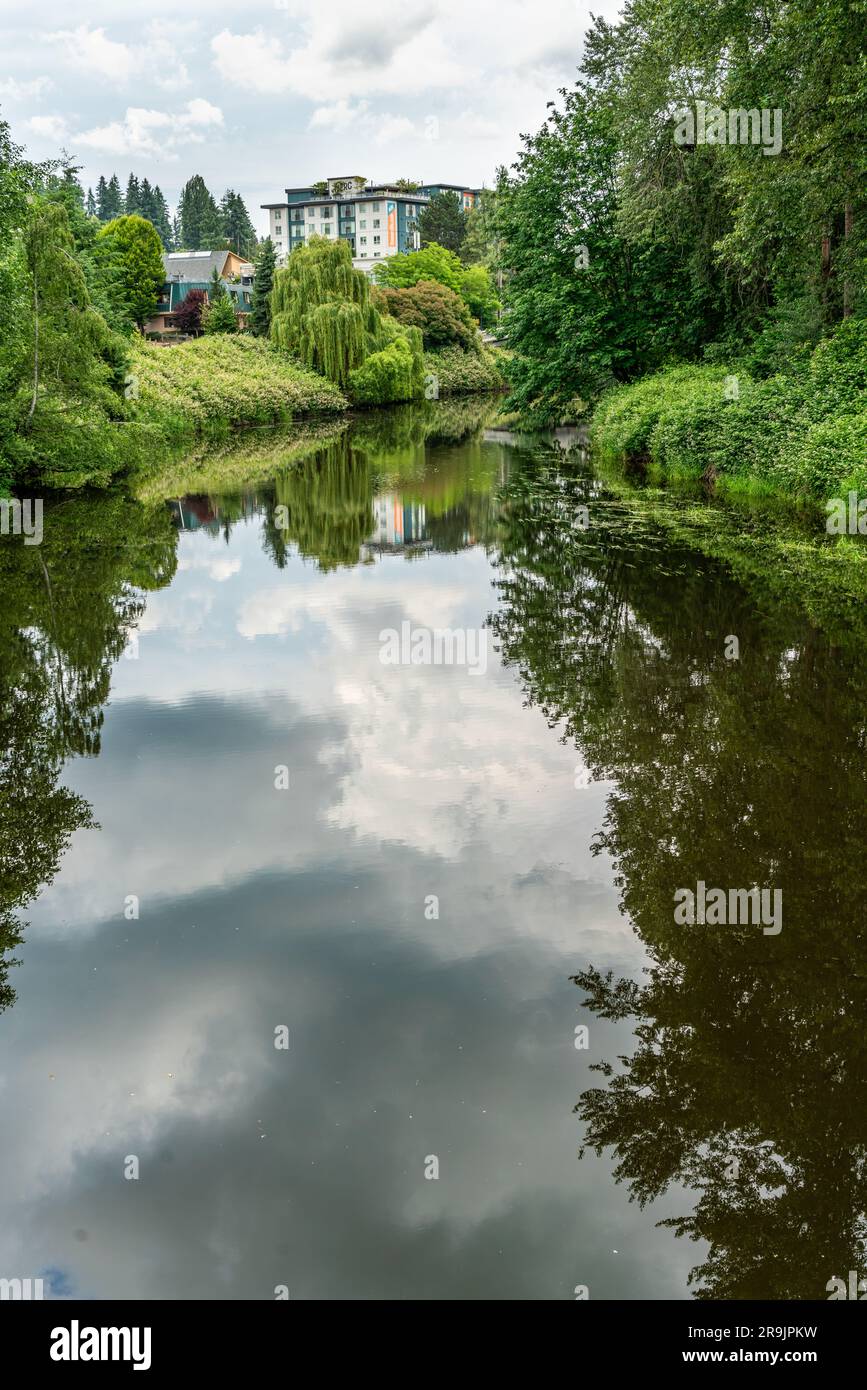 Una foto paesaggistica del fiume Sammamish a Bothell, Washington. Foto Stock