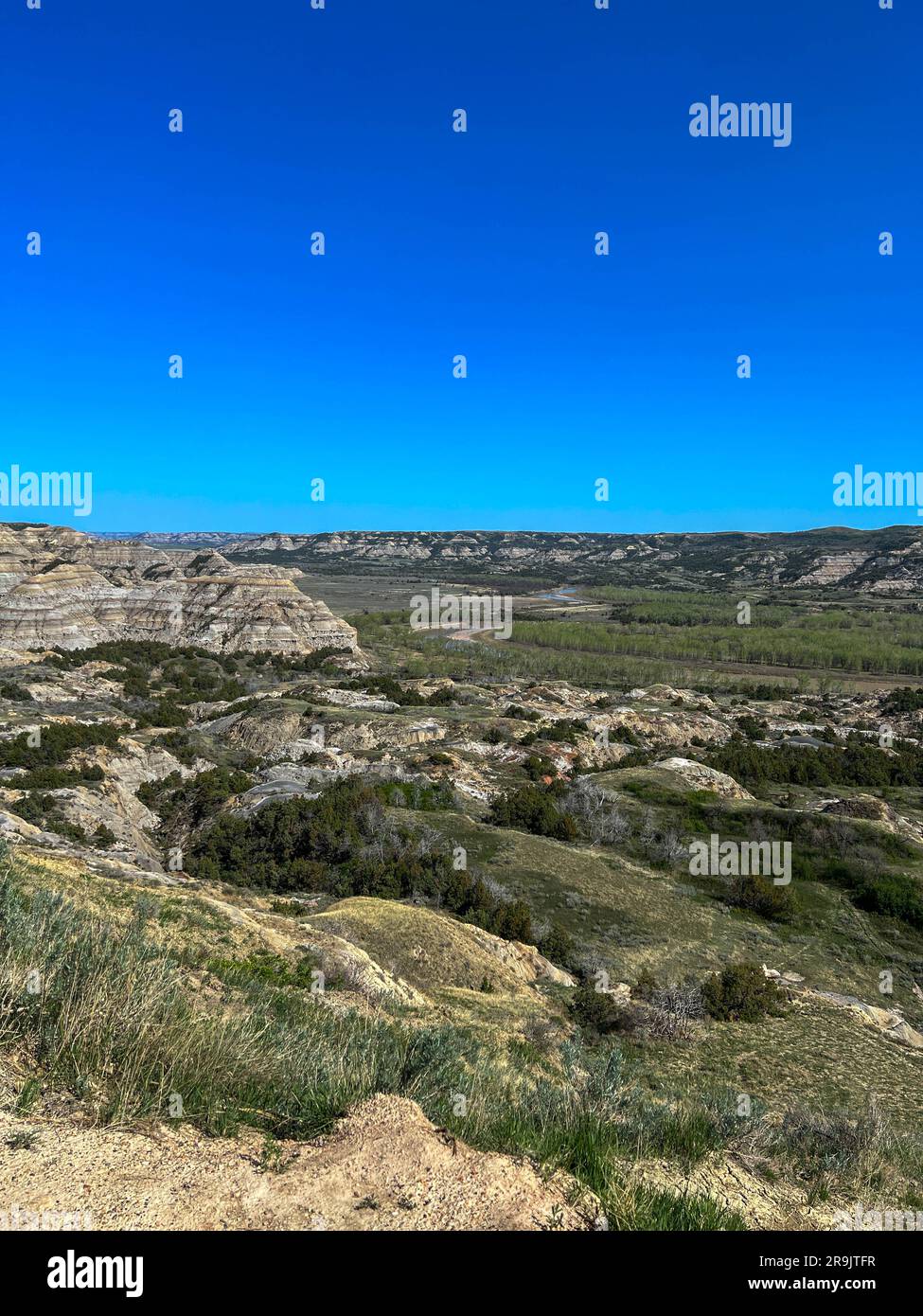 Le colline calcaree e le montagne del Theodore Roosevelt National Park nel North Dakota. Foto Stock