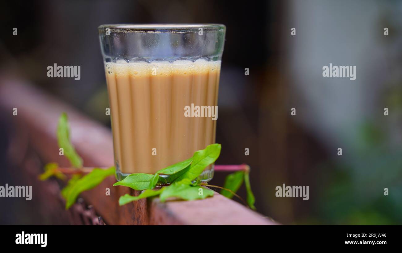 Tè al latte fresco o Kadak Chai indiano. Foto Stock