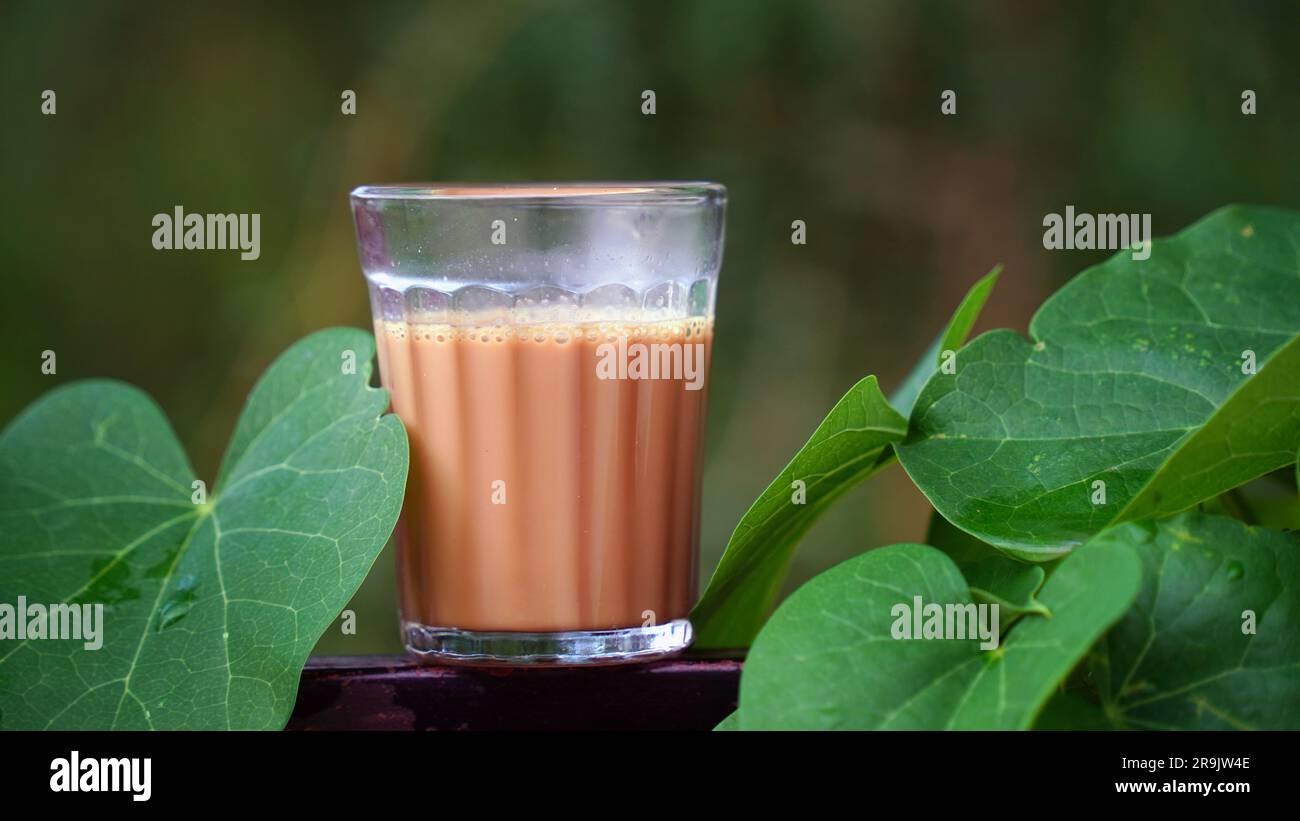 Tè al latte fresco o Kadak Chai indiano. Foto Stock