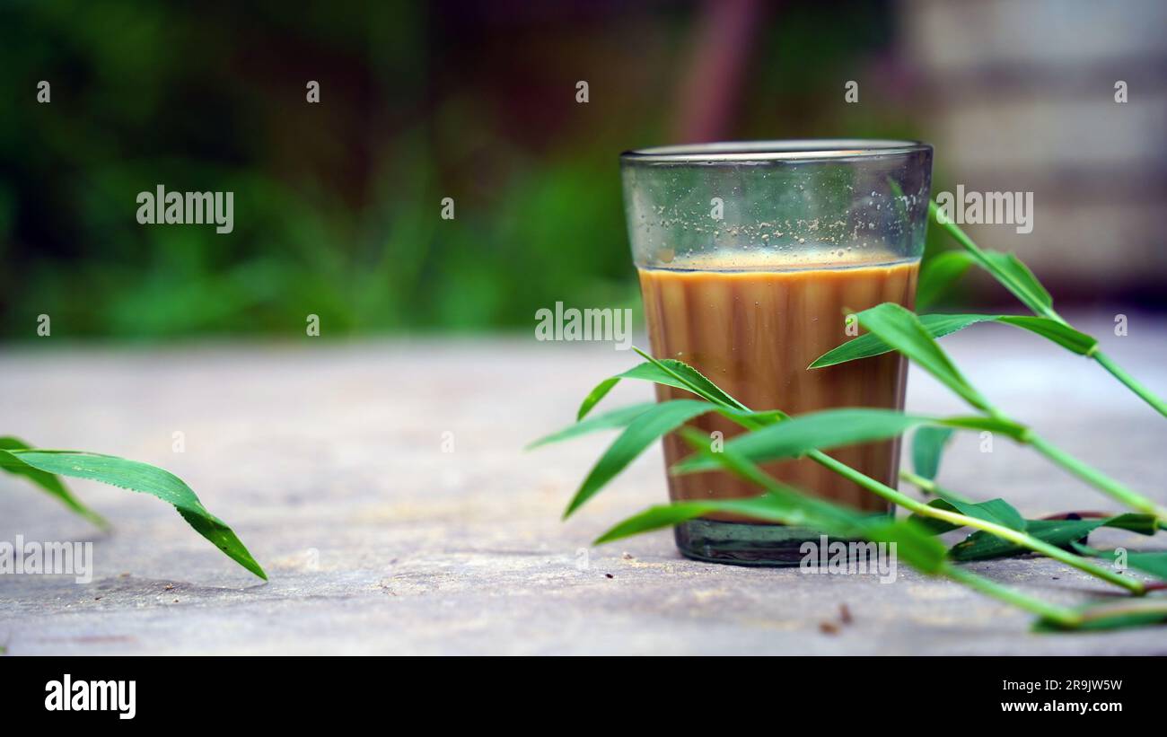 Tè al latte fresco o Kadak Chai indiano. Foto Stock