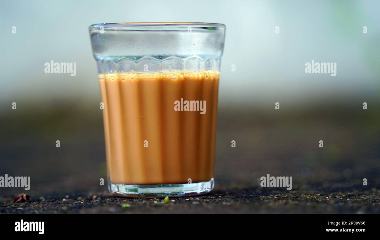 Tè al latte fresco o Kadak Chai indiano. Foto Stock