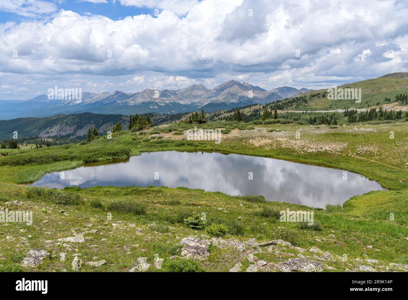 Summer Mountain Pond - Un panorama di un piccolo stagno in cima al passo Cottonwood, circondato dalle alte cime della catena montuosa Sawatch, in una tranquilla giornata estiva. Foto Stock