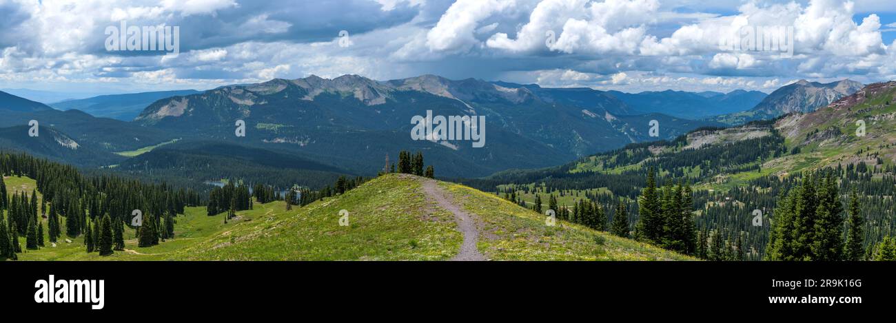 Storm Mountains - Panorama della catena antracite delle West Elk Mountains, circondate da una fitta foresta sempreverde, in un giorno estivo tempestoso. Crested Butte, CO. Foto Stock