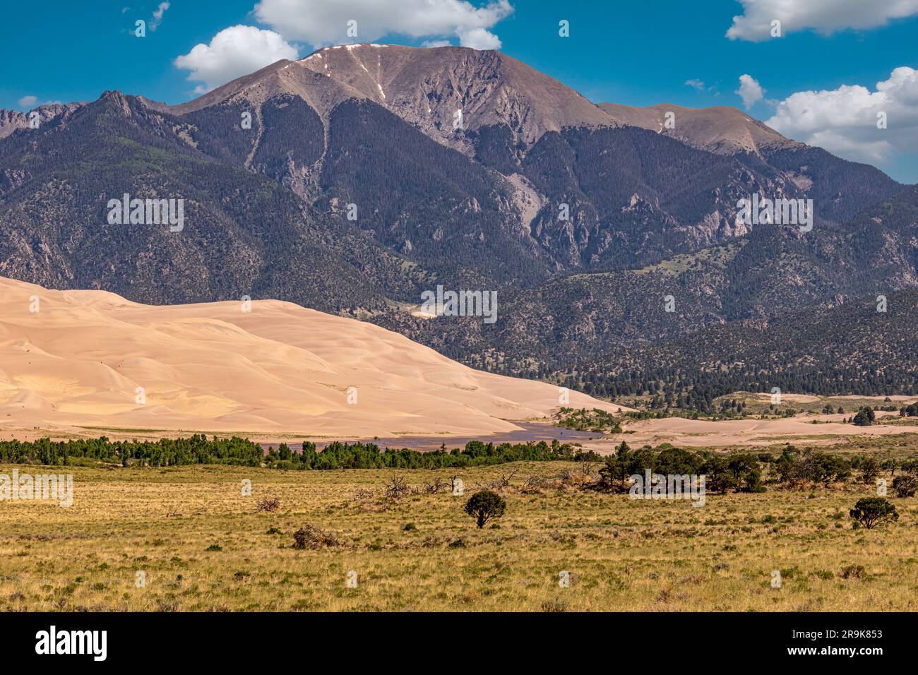 Great Sand Dunes nella luce del mattino contro le montagne Sangre De Cristo Foto Stock