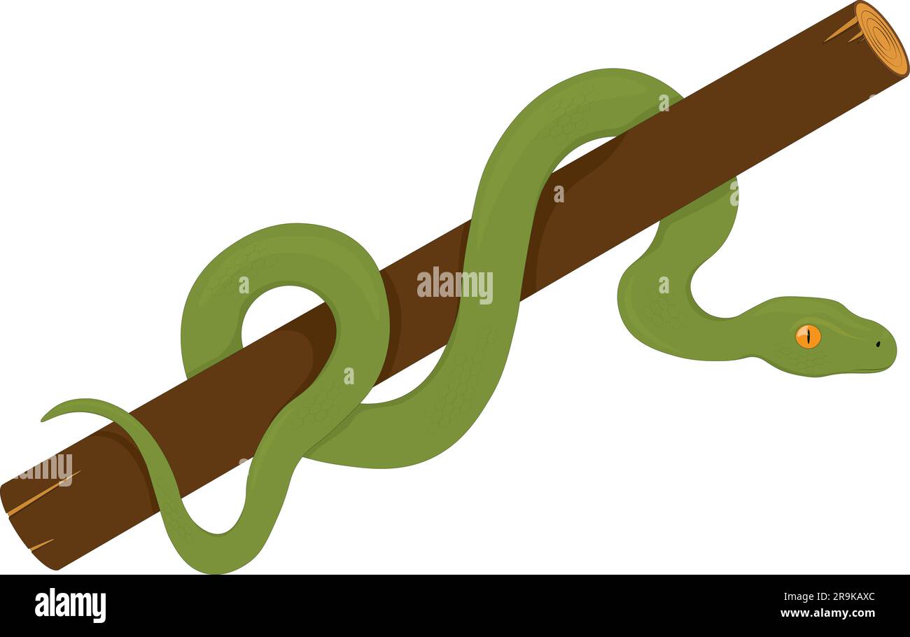 Serpente verde della foresta su illustrazione del vettore del ramo di legno Illustrazione Vettoriale