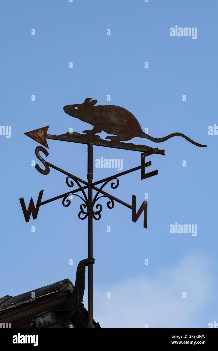 Black Death Plague Rat meteo Vane in cima al museo Eyam, Eyam, Derbyshire, Inghilterra, Regno Unito Foto Stock