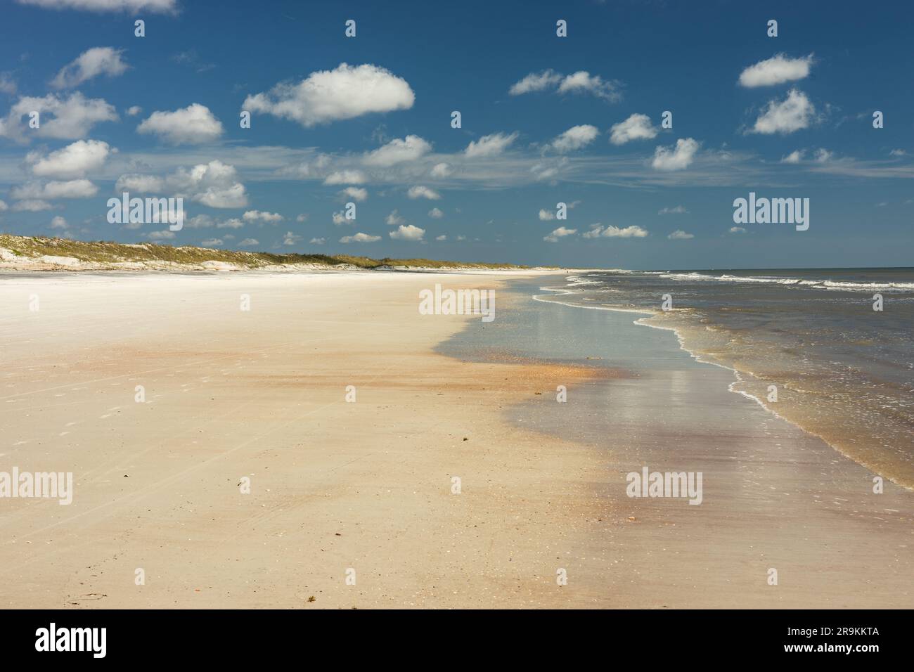 Spiaggia di Anastasia vicino a Saint Augustine in Florida Foto Stock