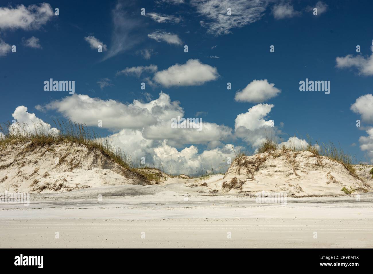 Dune di sabbia sull'isola di Anastasia in Florida Foto Stock