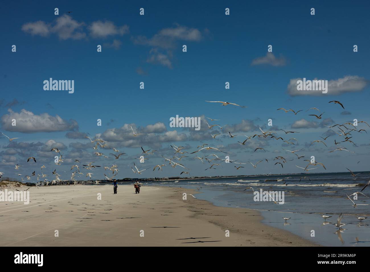 Due biciclette e uccelli volanti su una spiaggia dell'isola di Anastasia in Florida Foto Stock