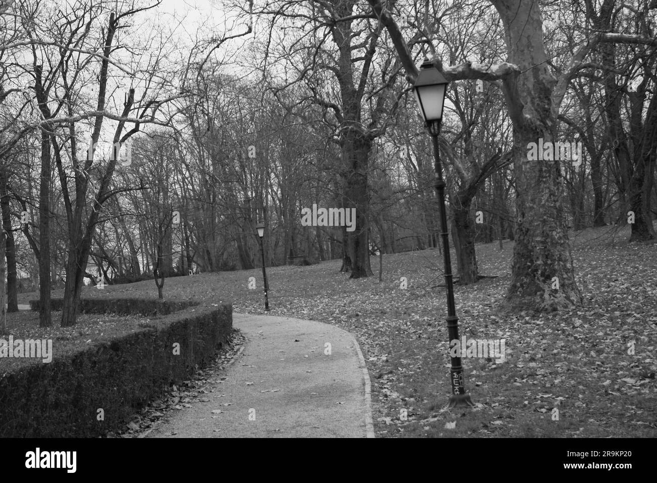Lampade nel Parco Re Tomislav a Osijek, Croazia, durante l'inverno il 14 febbraio 2023 Foto Stock