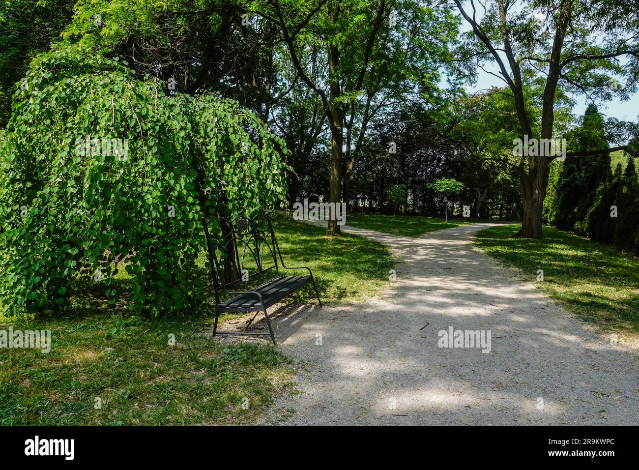 sentiero di ghiaia all'interno di un parco estivo Foto Stock