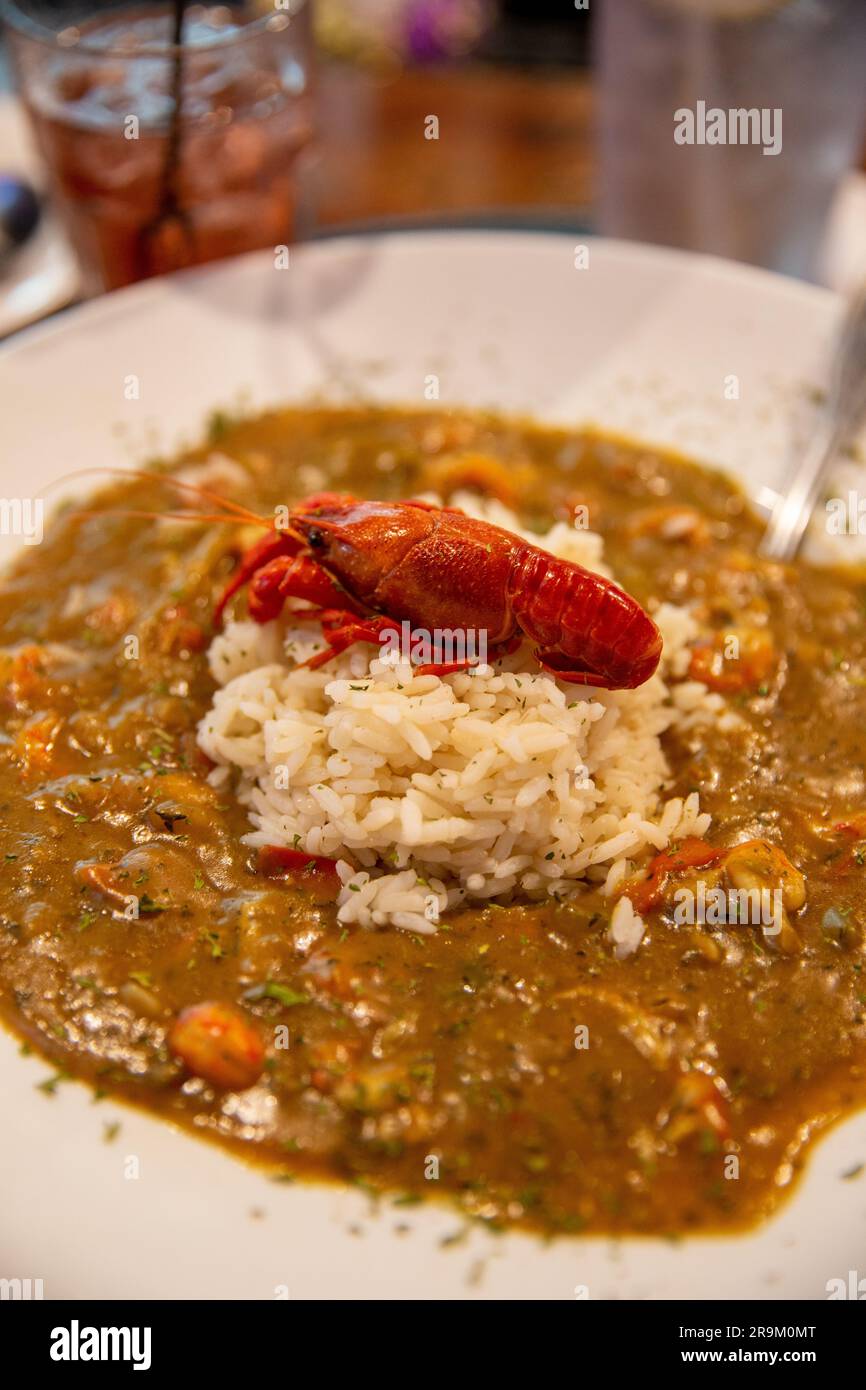 etouffee di gamberi cajun servito e decorato con un gambero Foto Stock