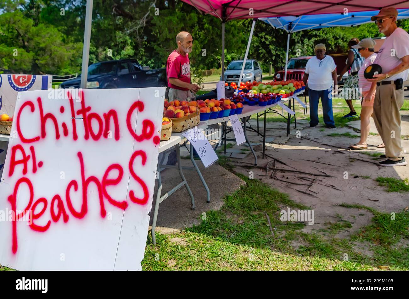 Randy Price parla con i clienti presso il suo stand di frutta, il 27 giugno 2023, a Mobile, Alabama. La città è attualmente sotto un allarme di calore, con il calore inde Foto Stock
