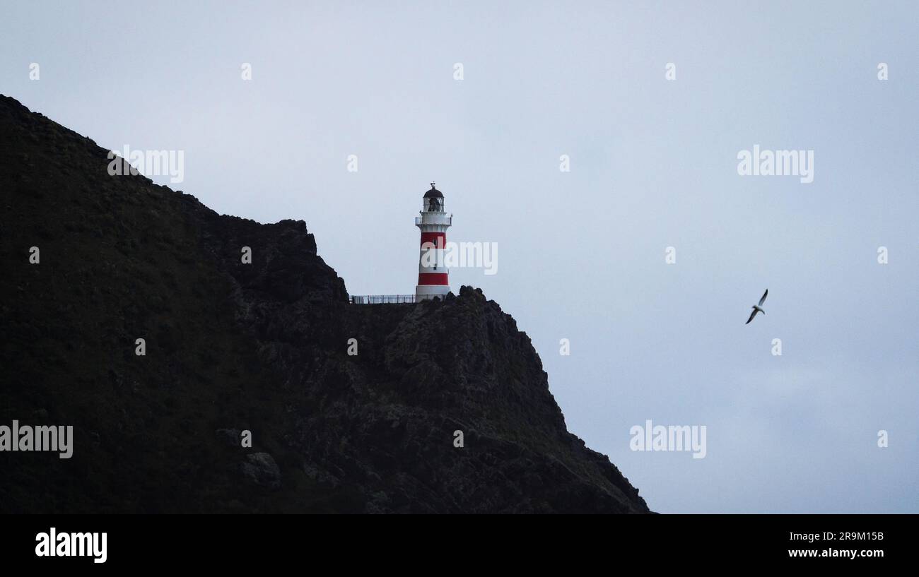 Vista panoramica dell'edificio del faro a strisce rosse e bianche arroccato sulla cima di una collina di scogliera sull'oceano, Cape Palliser Wellington North Island New Zealan Foto Stock