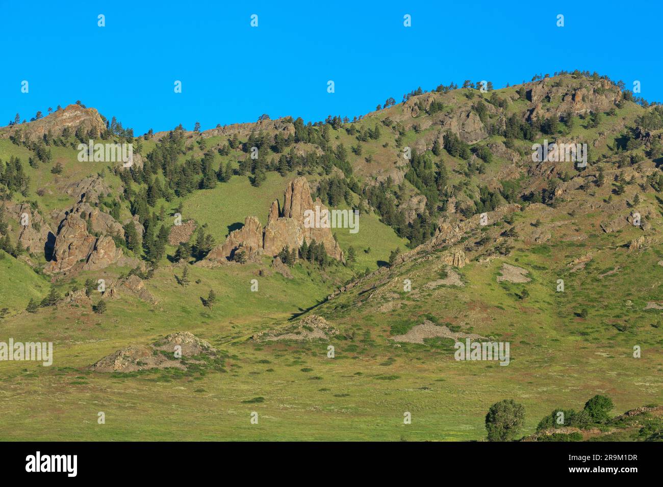 torri rocciose ignee ai piedi delle colline vicino a hardy, montana Foto Stock