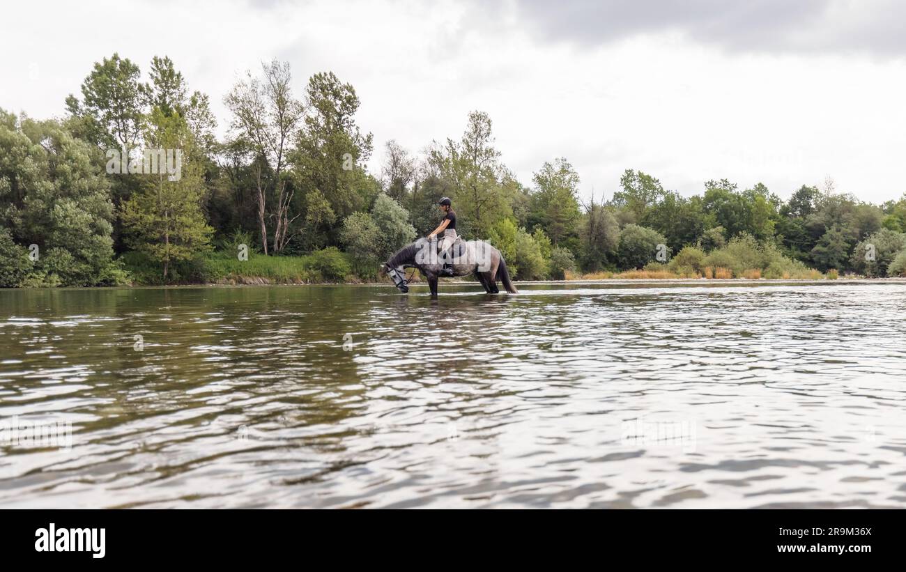 Ragazza a cavallo grigio lungo la calma acqua del fiume con la foresta verde riflessi dallo sfondo. Natura e concetto di amore animale. Foto Stock