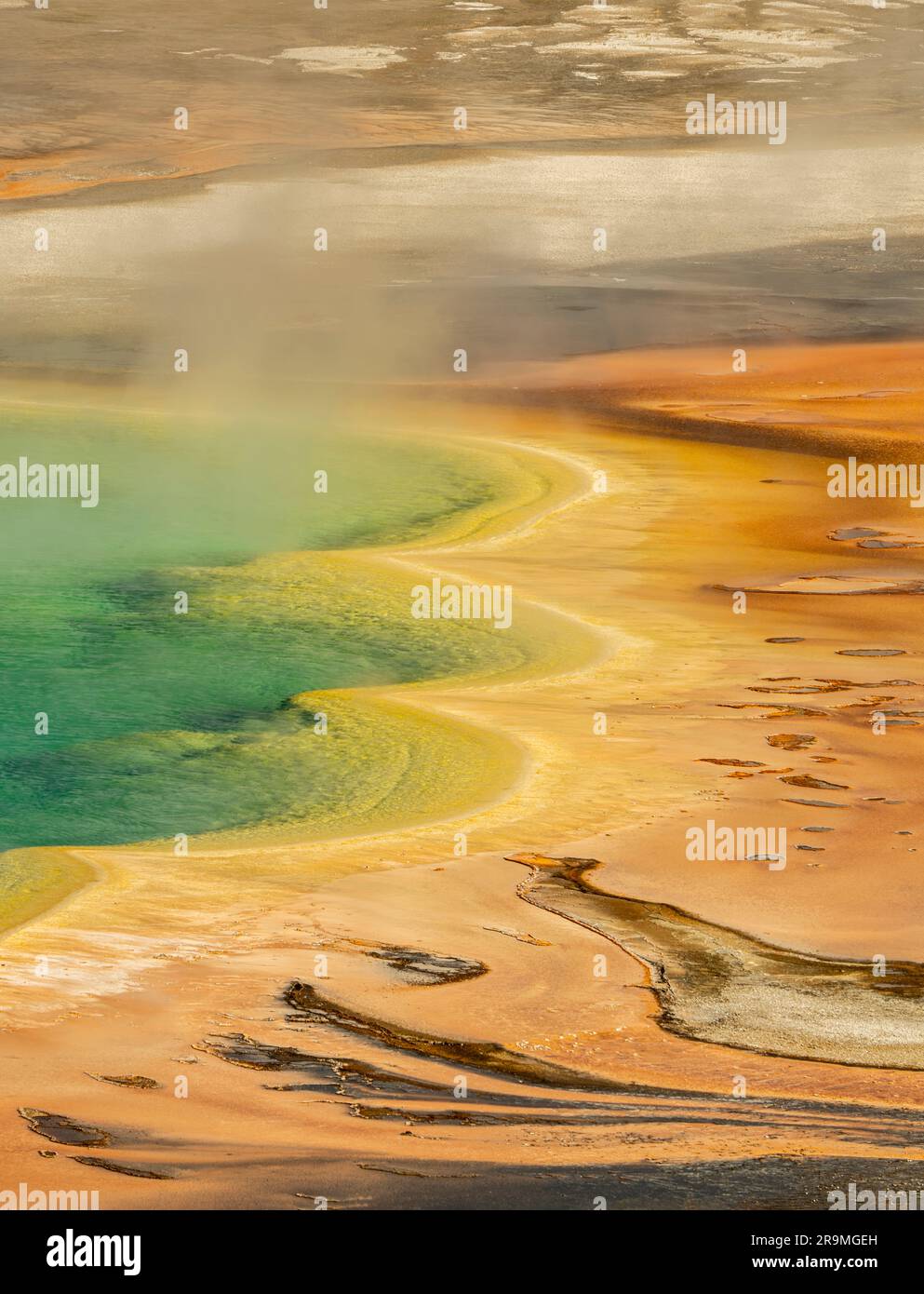 Piscina Grand Prismatic dall'alto. Parco nazionale di Yellowstone, Wyoming Foto Stock