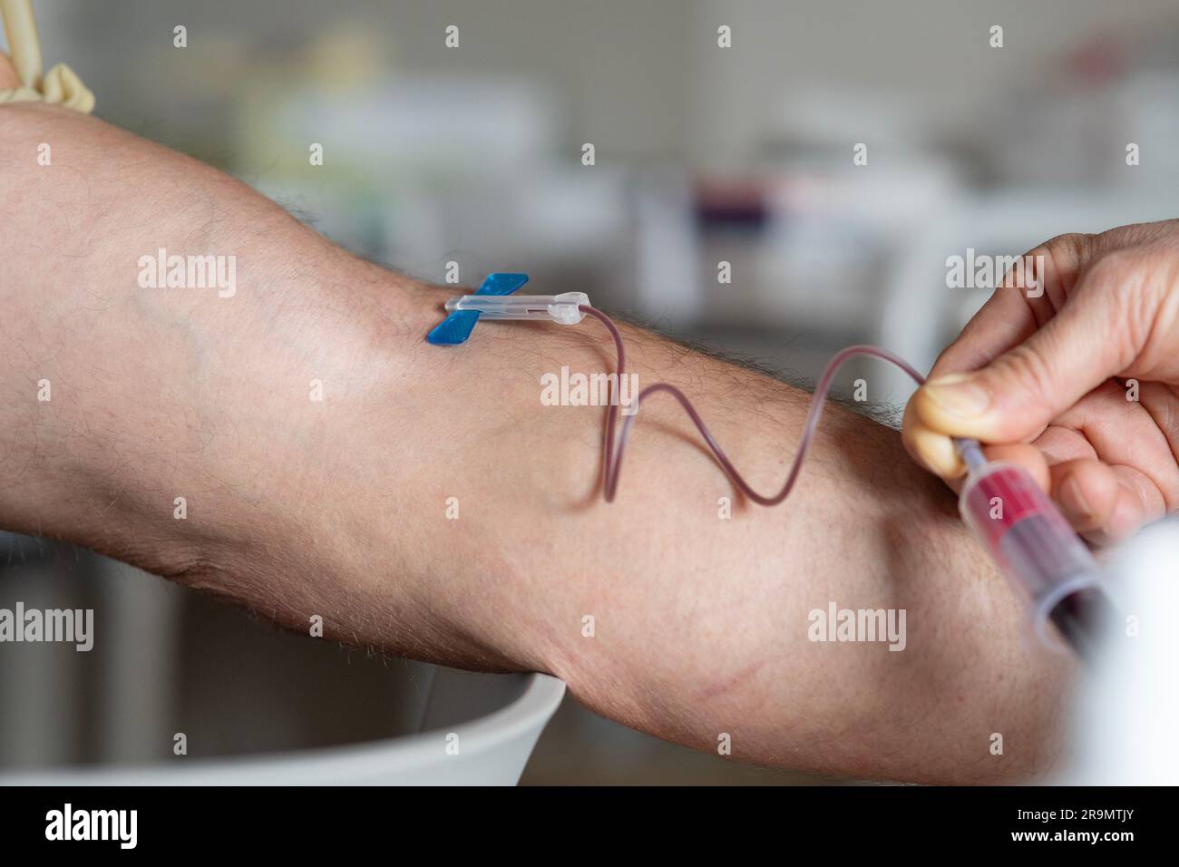 Prelievo di sangue senza guanti: Manovra pericolosa per l'operatore Foto Stock