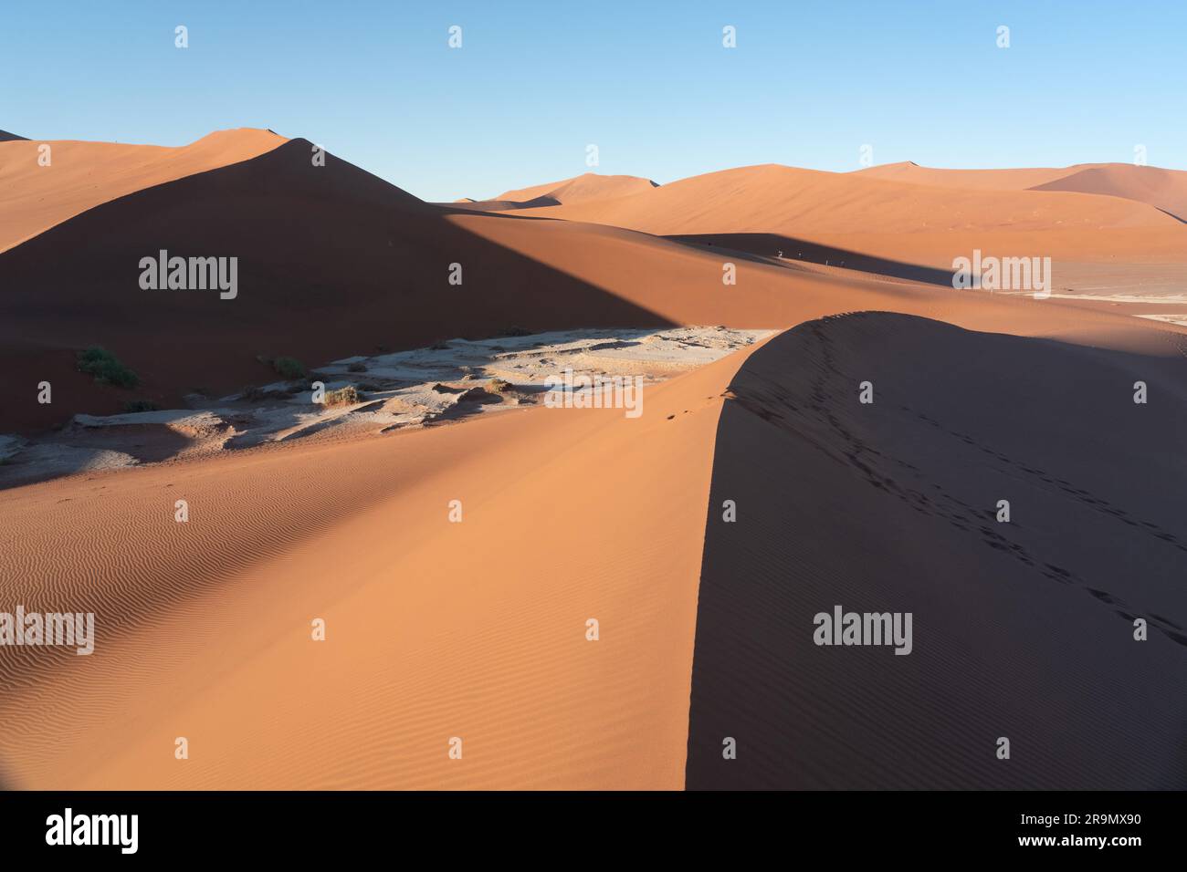 Le dune di sabbia rossa, Sossusvlei, Namib-Naukluft National Park, Namibia. Il colore rosso è un'indicazione dell'età di questa duna come è causata dal Foto Stock