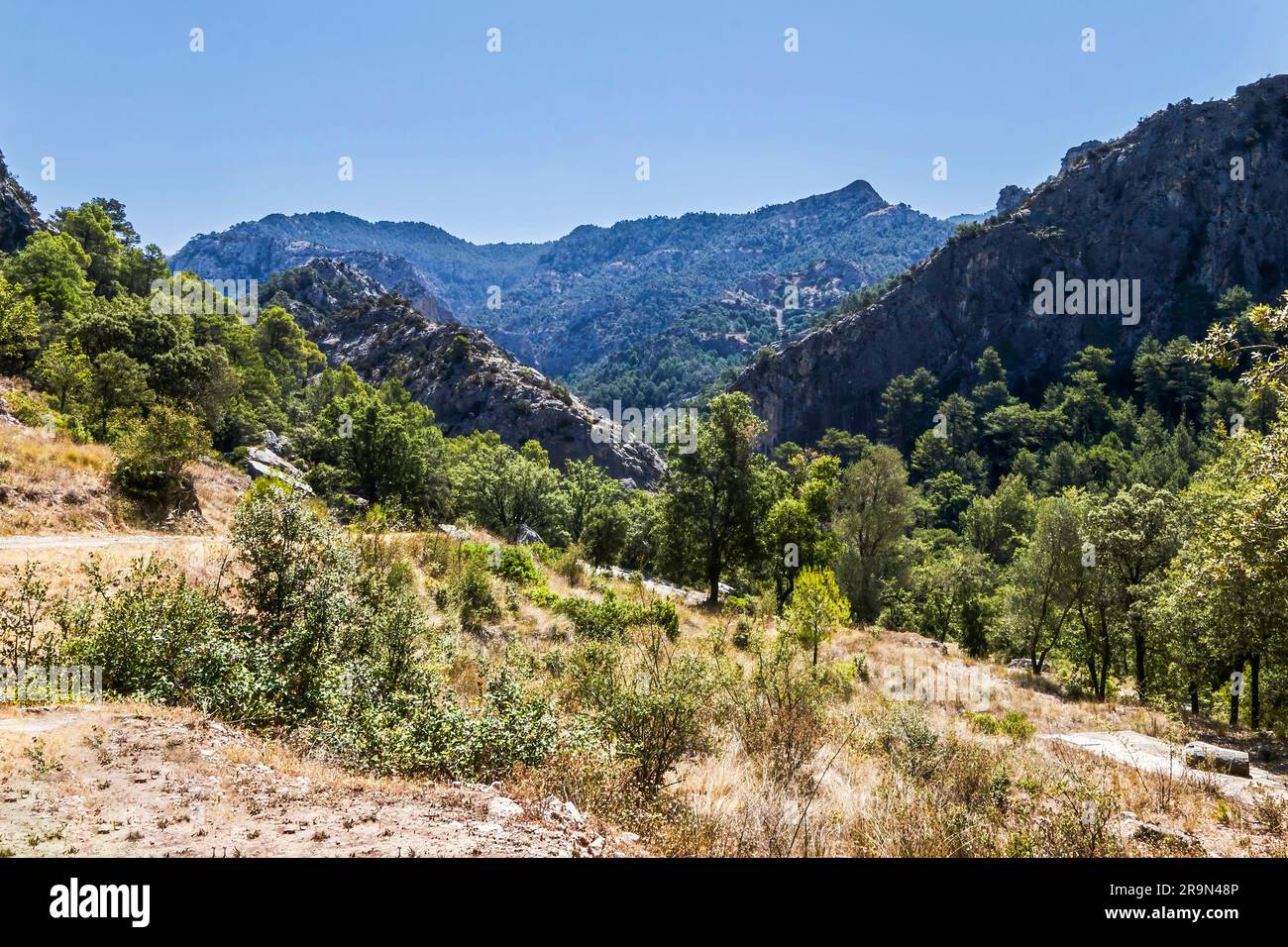 Parco naturale ELS ports. È uno dei parchi naturali più significativi della Catalogna. A Tarragona, Catalogna, Spagna. Foto Stock