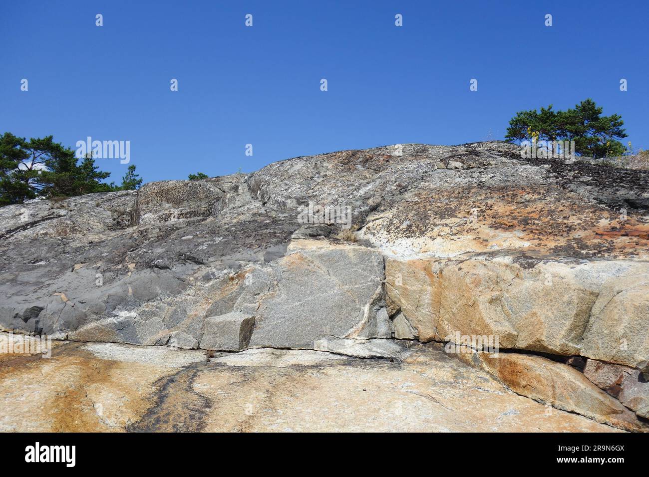 Sfondo naturale robusto Foto Stock