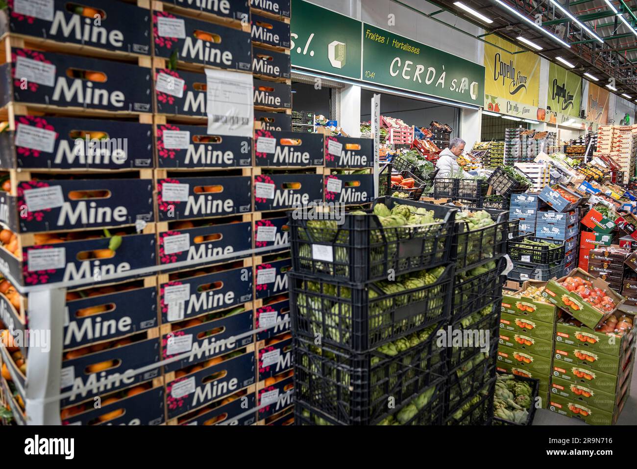 Sezione frutta e verdura, a Mercabarna. I mercati centrali di Barcellona. Barcellona. Spagna Foto Stock